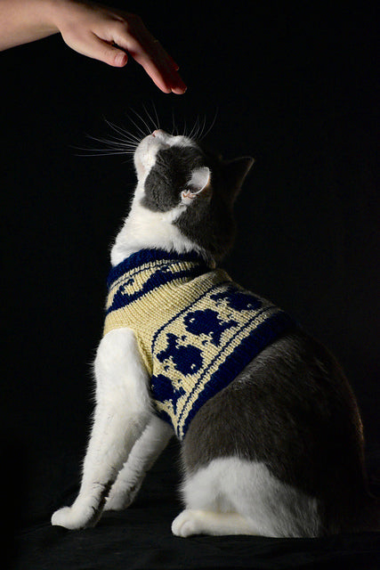 Cat Sweater Knitting Pattern | Fair Isle Cat Jumper | Top Down Knit | Colorwork Pet Sweater | Digital PDF Pattern