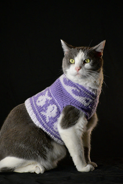 Cat Sweater Knitting Pattern | Fair Isle Cat Jumper | Top Down Knit | Colorwork Pet Sweater | Digital PDF Pattern
